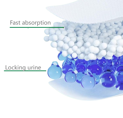 Factory Wholesale Price Baby Pull-ups, Toddler Pants Diapers, Fast Shipping